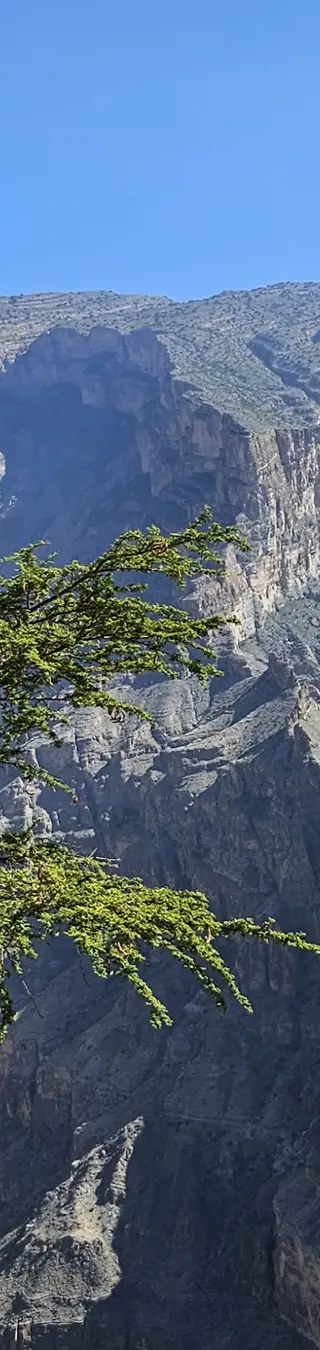 am Grand Canyon des Oman